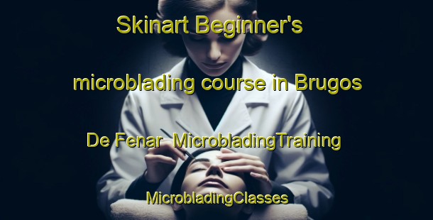 Skinart Beginner's microblading course in Brugos De Fenar | #MicrobladingTraining #MicrobladingClasses #SkinartTraining-Spain