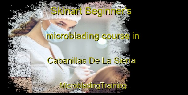 Skinart Beginner's microblading course in Cabanillas De La Sierra | #MicrobladingTraining #MicrobladingClasses #SkinartTraining-Spain