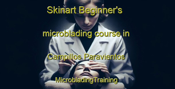 Skinart Beginner's microblading course in Campillos Paravientos | #MicrobladingTraining #MicrobladingClasses #SkinartTraining-Spain