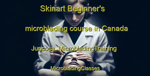 Skinart Beginner's microblading course in Canada Juncosa | #MicrobladingTraining #MicrobladingClasses #SkinartTraining-Spain