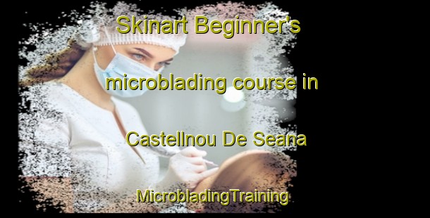 Skinart Beginner's microblading course in Castellnou De Seana | #MicrobladingTraining #MicrobladingClasses #SkinartTraining-Spain