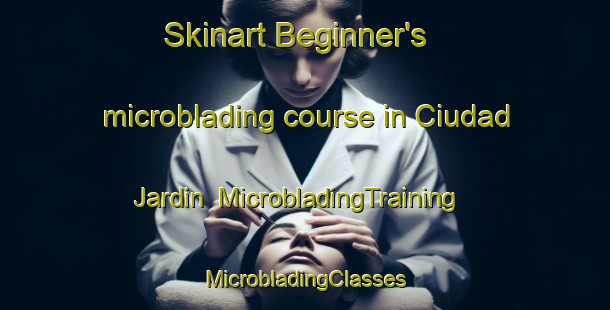 Skinart Beginner's microblading course in Ciudad Jardin | #MicrobladingTraining #MicrobladingClasses #SkinartTraining-Spain