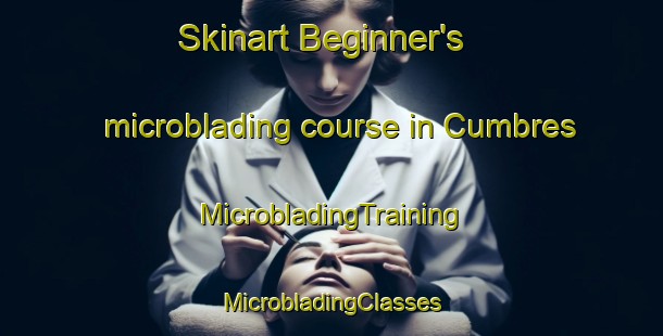 Skinart Beginner's microblading course in Cumbres | #MicrobladingTraining #MicrobladingClasses #SkinartTraining-Spain