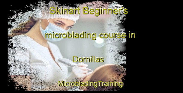 Skinart Beginner's microblading course in Dornillas | #MicrobladingTraining #MicrobladingClasses #SkinartTraining-Spain