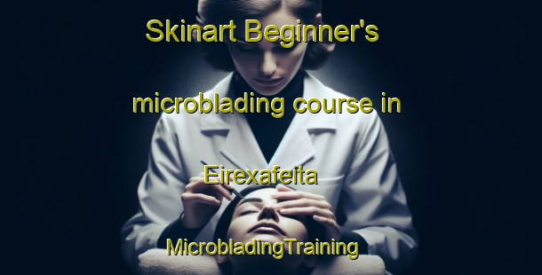 Skinart Beginner's microblading course in Eirexafeita | MicrobladingTraining | MicrobladingClasses | SkinartTraining-Spain