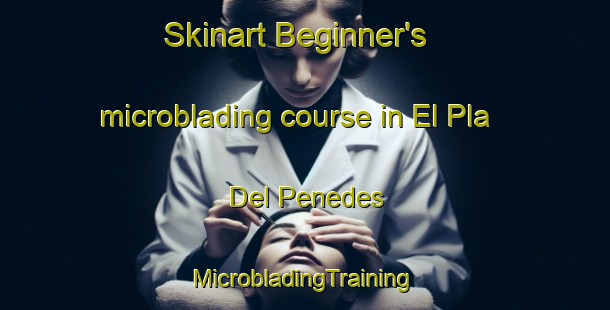 Skinart Beginner's microblading course in El Pla Del Penedes | #MicrobladingTraining #MicrobladingClasses #SkinartTraining-Spain