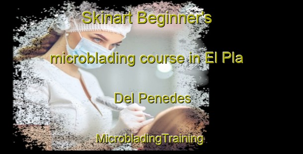 Skinart Beginner's microblading course in El Pla Del Penedes | #MicrobladingTraining #MicrobladingClasses #SkinartTraining-Spain