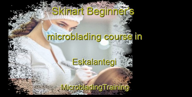 Skinart Beginner's microblading course in Eskalantegi | #MicrobladingTraining #MicrobladingClasses #SkinartTraining-Spain