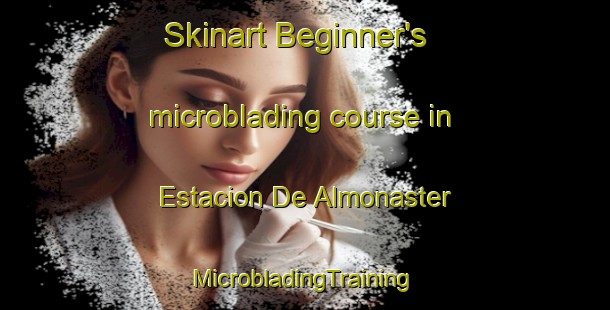 Skinart Beginner's microblading course in Estacion De Almonaster | #MicrobladingTraining #MicrobladingClasses #SkinartTraining-Spain