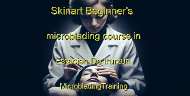 Skinart Beginner's microblading course in Estacion De Irurzun | #MicrobladingTraining #MicrobladingClasses #SkinartTraining-Spain