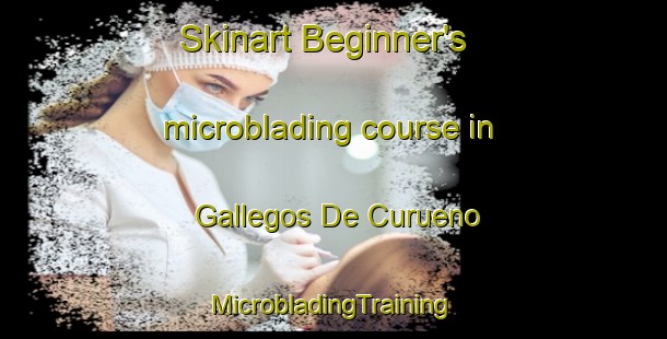 Skinart Beginner's microblading course in Gallegos De Curueno | #MicrobladingTraining #MicrobladingClasses #SkinartTraining-Spain