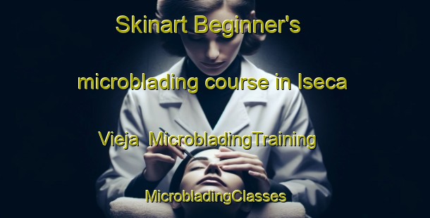 Skinart Beginner's microblading course in Iseca Vieja | #MicrobladingTraining #MicrobladingClasses #SkinartTraining-Spain