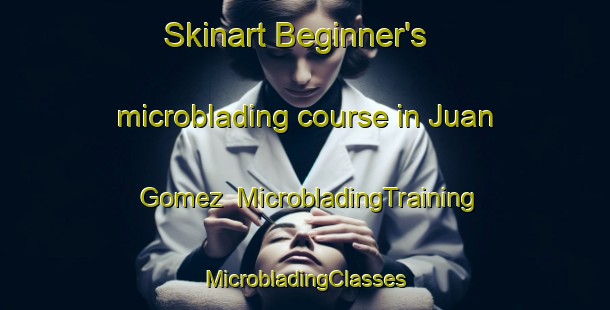 Skinart Beginner's microblading course in Juan Gomez | #MicrobladingTraining #MicrobladingClasses #SkinartTraining-Spain