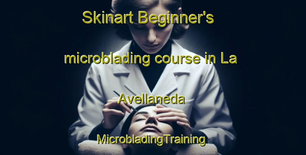 Skinart Beginner's microblading course in La Avellaneda | #MicrobladingTraining #MicrobladingClasses #SkinartTraining-Spain