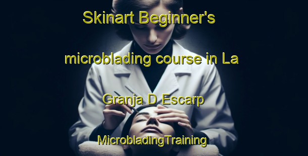 Skinart Beginner's microblading course in La Granja D Escarp | #MicrobladingTraining #MicrobladingClasses #SkinartTraining-Spain