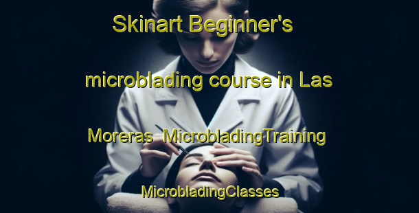 Skinart Beginner's microblading course in Las Moreras | #MicrobladingTraining #MicrobladingClasses #SkinartTraining-Spain