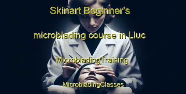 Skinart Beginner's microblading course in Lluc | #MicrobladingTraining #MicrobladingClasses #SkinartTraining-Spain