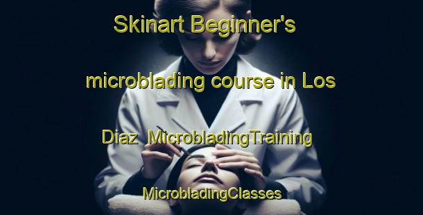 Skinart Beginner's microblading course in Los Diaz | #MicrobladingTraining #MicrobladingClasses #SkinartTraining-Spain