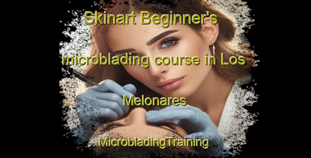 Skinart Beginner's microblading course in Los Melonares | #MicrobladingTraining #MicrobladingClasses #SkinartTraining-Spain