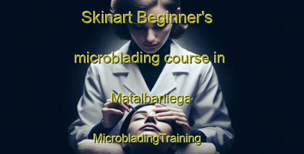Skinart Beginner's microblading course in Matalbaniega | MicrobladingTraining | MicrobladingClasses | SkinartTraining-Spain