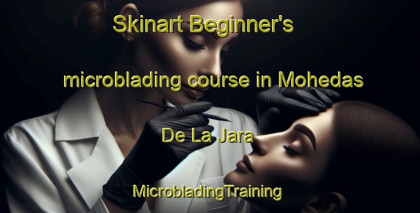 Skinart Beginner's microblading course in Mohedas De La Jara | #MicrobladingTraining #MicrobladingClasses #SkinartTraining-Spain