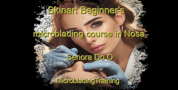 Skinart Beginner's microblading course in Nosa Senora Do O | #MicrobladingTraining #MicrobladingClasses #SkinartTraining-Spain