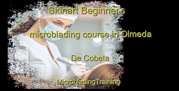 Skinart Beginner's microblading course in Olmeda De Cobeta | #MicrobladingTraining #MicrobladingClasses #SkinartTraining-Spain