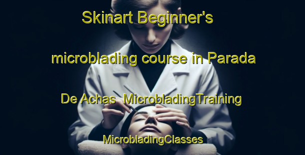 Skinart Beginner's microblading course in Parada De Achas | #MicrobladingTraining #MicrobladingClasses #SkinartTraining-Spain