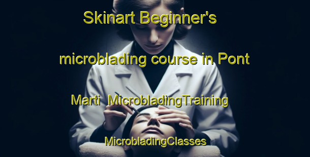 Skinart Beginner's microblading course in Pont Marti | #MicrobladingTraining #MicrobladingClasses #SkinartTraining-Spain