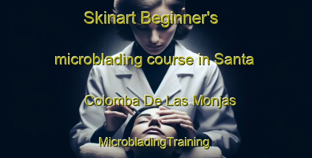 Skinart Beginner's microblading course in Santa Colomba De Las Monjas | #MicrobladingTraining #MicrobladingClasses #SkinartTraining-Spain