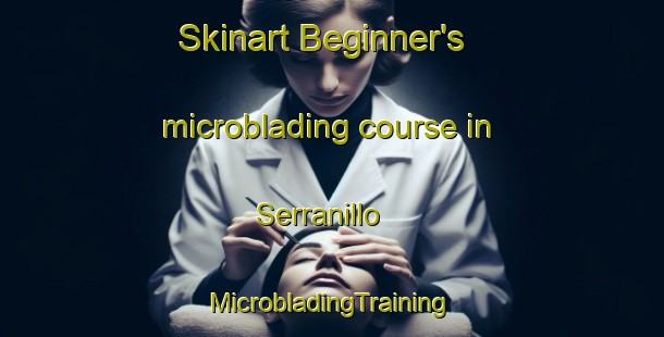 Skinart Beginner's microblading course in Serranillo | #MicrobladingTraining #MicrobladingClasses #SkinartTraining-Spain