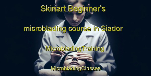 Skinart Beginner's microblading course in Siador | #MicrobladingTraining #MicrobladingClasses #SkinartTraining-Spain