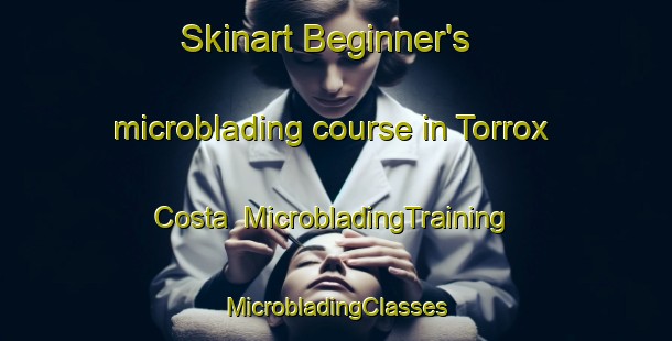 Skinart Beginner's microblading course in Torrox Costa | #MicrobladingTraining #MicrobladingClasses #SkinartTraining-Spain