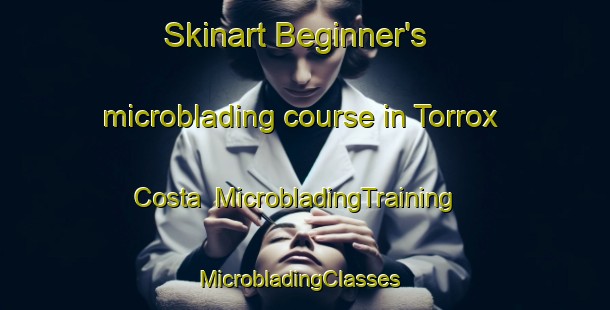 Skinart Beginner's microblading course in Torrox Costa | MicrobladingTraining | MicrobladingClasses | SkinartTraining-Spain