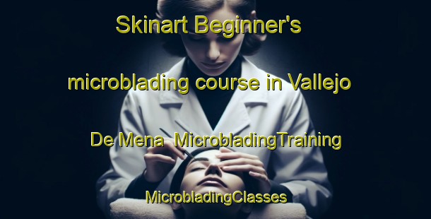 Skinart Beginner's microblading course in Vallejo De Mena | #MicrobladingTraining #MicrobladingClasses #SkinartTraining-Spain