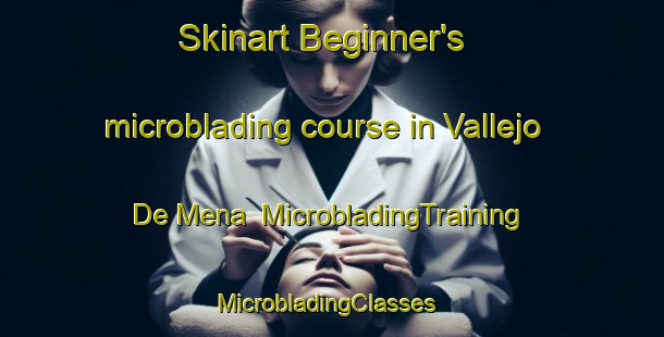 Skinart Beginner's microblading course in Vallejo De Mena | MicrobladingTraining | MicrobladingClasses | SkinartTraining-Spain