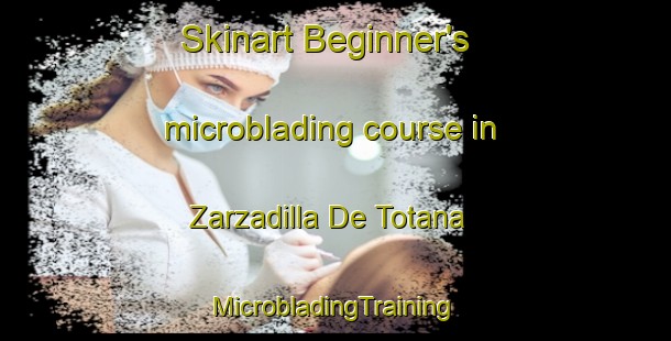 Skinart Beginner's microblading course in Zarzadilla De Totana | #MicrobladingTraining #MicrobladingClasses #SkinartTraining-Spain