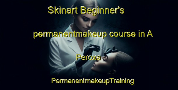 Skinart Beginner's permanentmakeup course in A Peroxa | #PermanentmakeupTraining #PermanentmakeupClasses #SkinartTraining-Spain