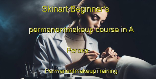 Skinart Beginner's permanentmakeup course in A Peroxa | #PermanentmakeupTraining #PermanentmakeupClasses #SkinartTraining-Spain