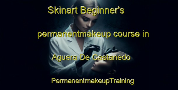 Skinart Beginner's permanentmakeup course in Aguera De Castanedo | #PermanentmakeupTraining #PermanentmakeupClasses #SkinartTraining-Spain