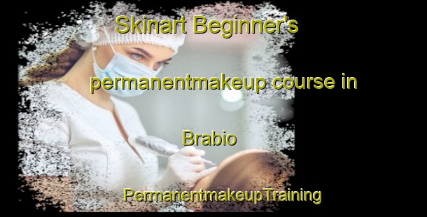 Skinart Beginner's permanentmakeup course in Brabio | #PermanentmakeupTraining #PermanentmakeupClasses #SkinartTraining-Spain