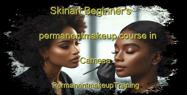 Skinart Beginner's permanentmakeup course in Camesa | PermanentmakeupTraining | PermanentmakeupClasses | SkinartTraining-Spain