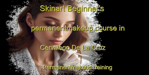 Skinart Beginner's permanentmakeup course in Cervillego De La Cruz | #PermanentmakeupTraining #PermanentmakeupClasses #SkinartTraining-Spain