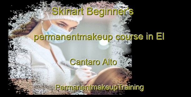 Skinart Beginner's permanentmakeup course in El Cantaro Alto | #PermanentmakeupTraining #PermanentmakeupClasses #SkinartTraining-Spain