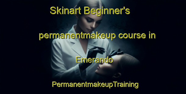 Skinart Beginner's permanentmakeup course in Emerando | PermanentmakeupTraining | PermanentmakeupClasses | SkinartTraining-Spain