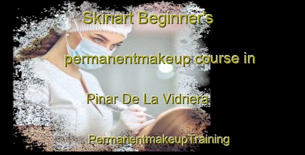 Skinart Beginner's permanentmakeup course in Pinar De La Vidriera | #PermanentmakeupTraining #PermanentmakeupClasses #SkinartTraining-Spain