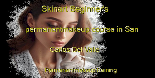 Skinart Beginner's permanentmakeup course in San Carlos Del Valle | #PermanentmakeupTraining #PermanentmakeupClasses #SkinartTraining-Spain