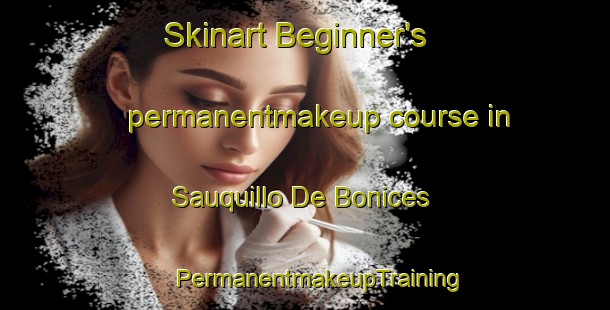 Skinart Beginner's permanentmakeup course in Sauquillo De Bonices | #PermanentmakeupTraining #PermanentmakeupClasses #SkinartTraining-Spain