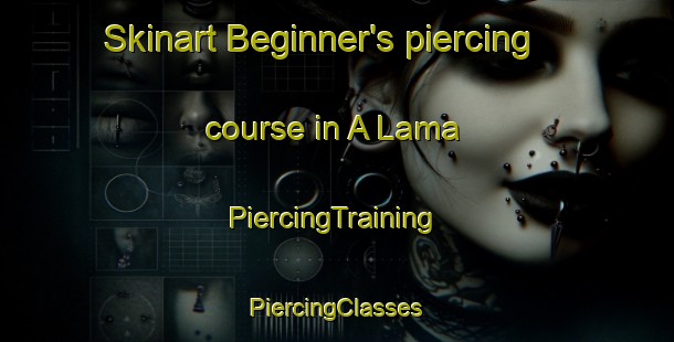 Skinart Beginner's piercing course in A Lama | #PiercingTraining #PiercingClasses #SkinartTraining-Spain