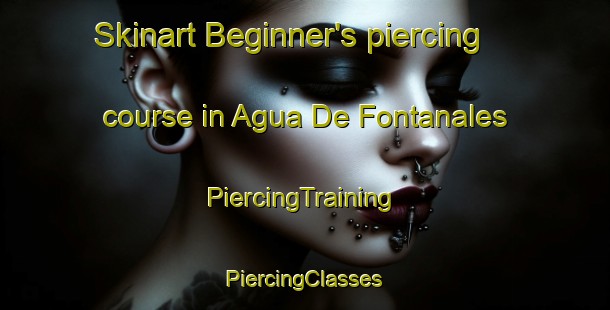 Skinart Beginner's piercing course in Agua De Fontanales | #PiercingTraining #PiercingClasses #SkinartTraining-Spain